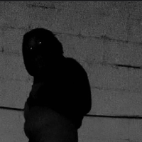 wvzvrd_stvck