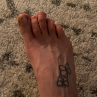 u211317685