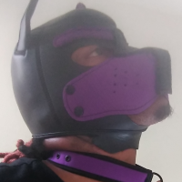 hoodiewolf
