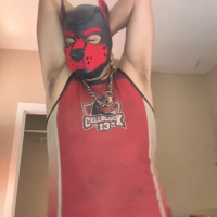 riccotukiiwolf
