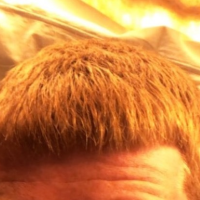 hardgingercock
