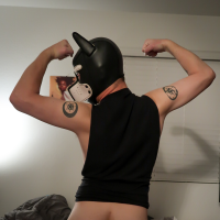 pupshadowboy