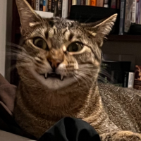 samthecat04302022