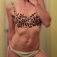 leda_the_swann
