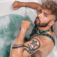 hairybushpr