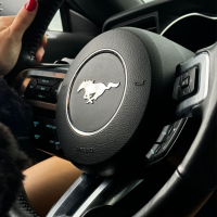 mustang_girl