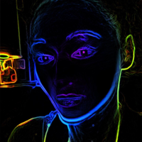 u213081733