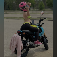 harley2.0
