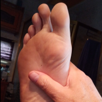 doggiesocksniffer