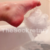 thesockretary