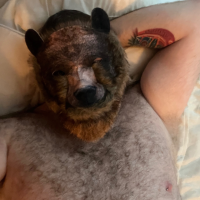 maskedbearof