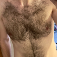 tombearczech