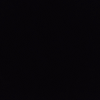 u12893622