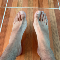 elmundodepies