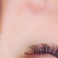 thecarolinarose