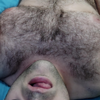 bearandchub