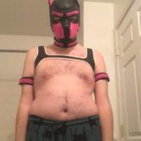 pupcobalt_free