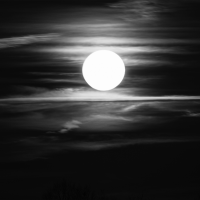 midnightsinner