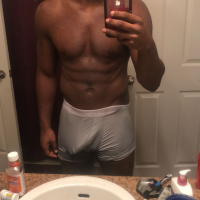 kentuckystallion