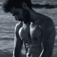 gray.alpha