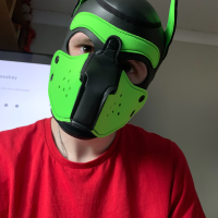 pup_oscar