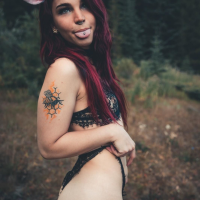 quirky_little_kitten