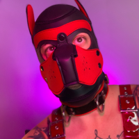 pupomni