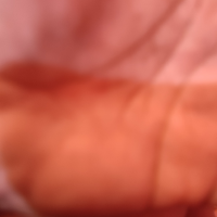 u323559564
