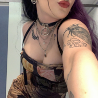 bambi.nova