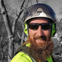 treefrognviking