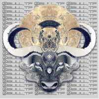 bull_tp