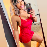 stellasjourney1