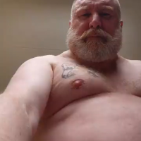 bearinheat